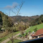Schaetzlehof Pensjonat