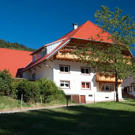 Schaetzlehof Guest house *