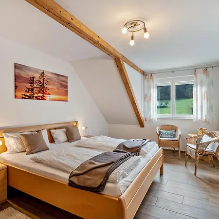 Schaetzlehof Guest house *