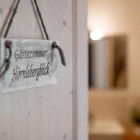 Schaetzlehof Guest house Winden im Elztal