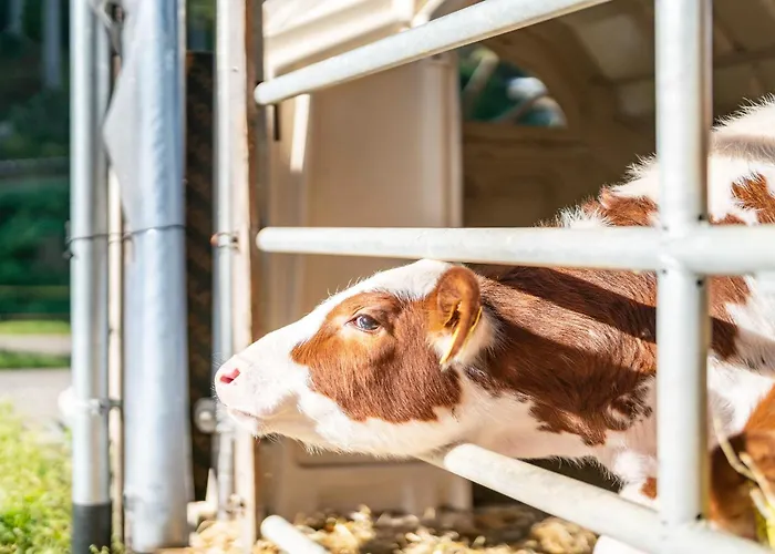 Schaetzlehof 3* Oberwinden